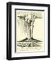 Somma and Vesuvius, the One Encircling the Other-null-Framed Giclee Print