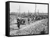 Somme 1916-Robert Hunt-Framed Stretched Canvas