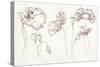 Somniferums Neutral Crop-Shirley Novak-Stretched Canvas