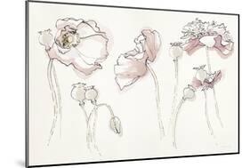 Somniferums Neutral Crop-Shirley Novak-Mounted Art Print