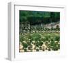 Somptuous Garden II-null-Framed Art Print