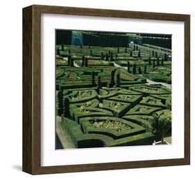 Somptuous Garden III-null-Framed Art Print