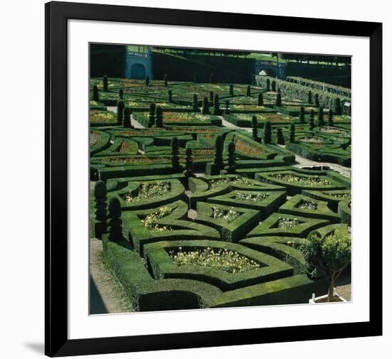 Somptuous Garden III-null-Framed Art Print