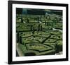 Somptuous Garden III-null-Framed Art Print