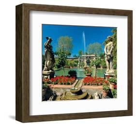 Somptuous Garden IV-null-Framed Art Print