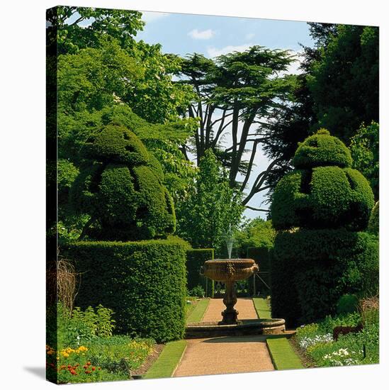 Somptuous Garden IX-null-Stretched Canvas