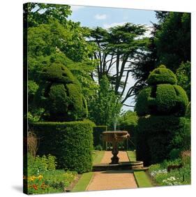 Somptuous Garden IX-null-Stretched Canvas