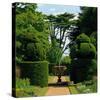 Somptuous Garden IX-null-Stretched Canvas