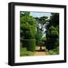 Somptuous Garden IX-null-Framed Art Print