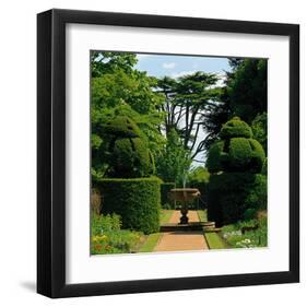 Somptuous Garden IX-null-Framed Art Print