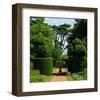 Somptuous Garden IX-null-Framed Art Print