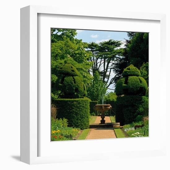 Somptuous Garden IX-null-Framed Art Print