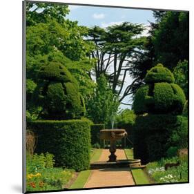 Somptuous Garden IX-null-Mounted Art Print