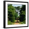 Somptuous Garden IX-null-Framed Art Print