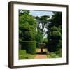 Somptuous Garden IX-null-Framed Art Print