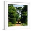 Somptuous Garden IX-null-Framed Art Print