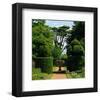 Somptuous Garden IX-null-Framed Art Print