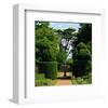 Somptuous Garden IX-null-Framed Art Print