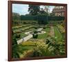 Somptuous Garden VII-null-Framed Premium Giclee Print