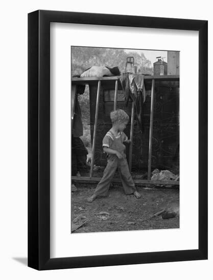 Son of destitute migrant, American River camp, near Sacramento, California, 1936-Dorothea Lange-Framed Photographic Print