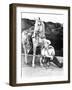 Son Of Paleface, Roy Rogers, 1952-null-Framed Photo