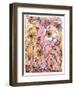 son sine sole iris-julia McKenzie-Framed Giclee Print