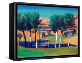 Son Vida 3-Paul Powis-Framed Stretched Canvas