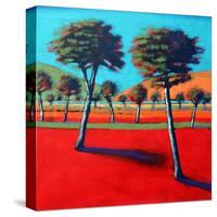 Son Vida I-Paul Powis-Stretched Canvas