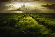 Journey to the Fierce Storm-Sona Buchelova-Framed Photographic Print