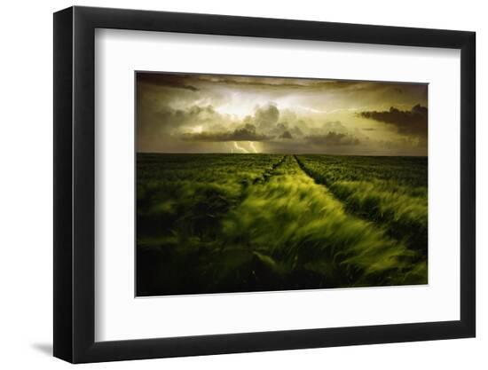 Photographic Print, , large