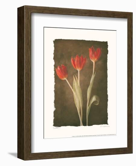 Sonata I-Amy Melious-Framed Art Print