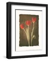 Sonata I-Amy Melious-Framed Art Print