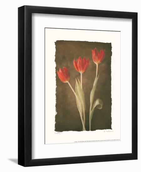 Sonata I-Amy Melious-Framed Art Print