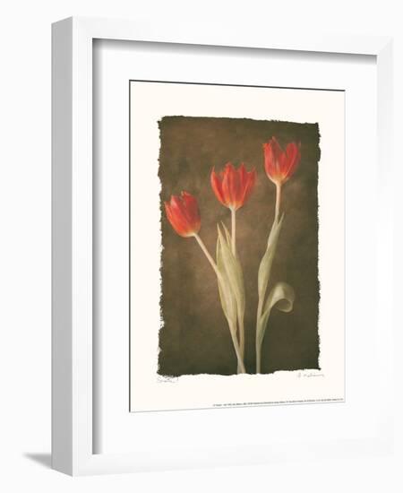 Sonata I-Amy Melious-Framed Art Print