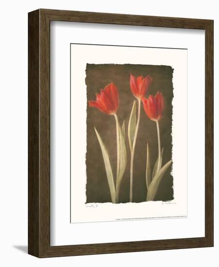 Sonata II-Amy Melious-Framed Art Print