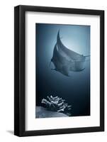 Sonata-Andrey Narchuk-Framed Photographic Print