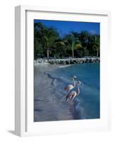 Sonesta Island, Aruba, Caribbean-Robin Hill-Framed Photographic Print