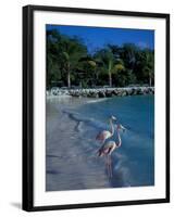 Sonesta Island, Aruba, Caribbean-Robin Hill-Framed Photographic Print