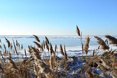 Marine Winter Landscape-Sonet999-Laminated Photographic Print