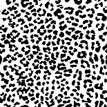 Leopard Print-Sonet999-Art Print