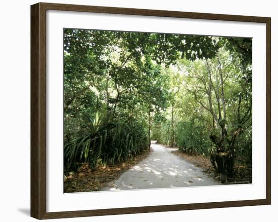 Soneva Fushi Resort, Kunfunadhoo Island, Baa Atoll, Maldives, Indian Ocean-Sergio Pitamitz-Framed Photographic Print