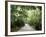 Soneva Fushi Resort, Kunfunadhoo Island, Baa Atoll, Maldives, Indian Ocean-Sergio Pitamitz-Framed Photographic Print