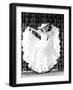 Black Frame