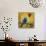 Song Bird IV-Cindy Thornton-Giclee Print displayed on a wall