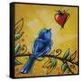 Song Bird IV-Cindy Thornton-Framed Stretched Canvas