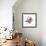 Song of Cherries-Josh Byer-Framed Giclee Print displayed on a wall