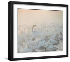 Song Of The Morning Light-Dmitry Dubikovskiy-Framed Giclee Print