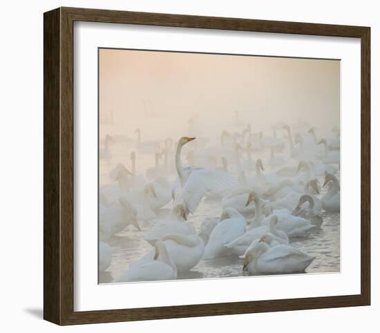 Song Of The Morning Light-Dmitry Dubikovskiy-Framed Giclee Print