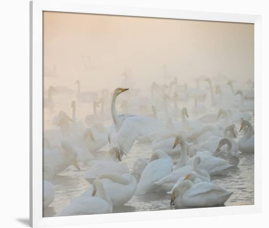 Song Of The Morning Light-Dmitry Dubikovskiy-Framed Giclee Print