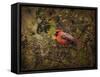 Song of the Red Bird 2-Jai Johnson-Framed Stretched Canvas